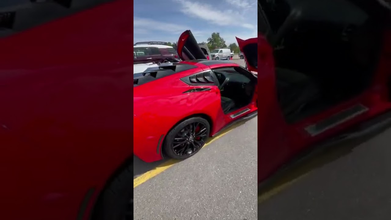 Corvette with Lambo Doors, and My Lambo with Corvette Doors 😂🤣🤣