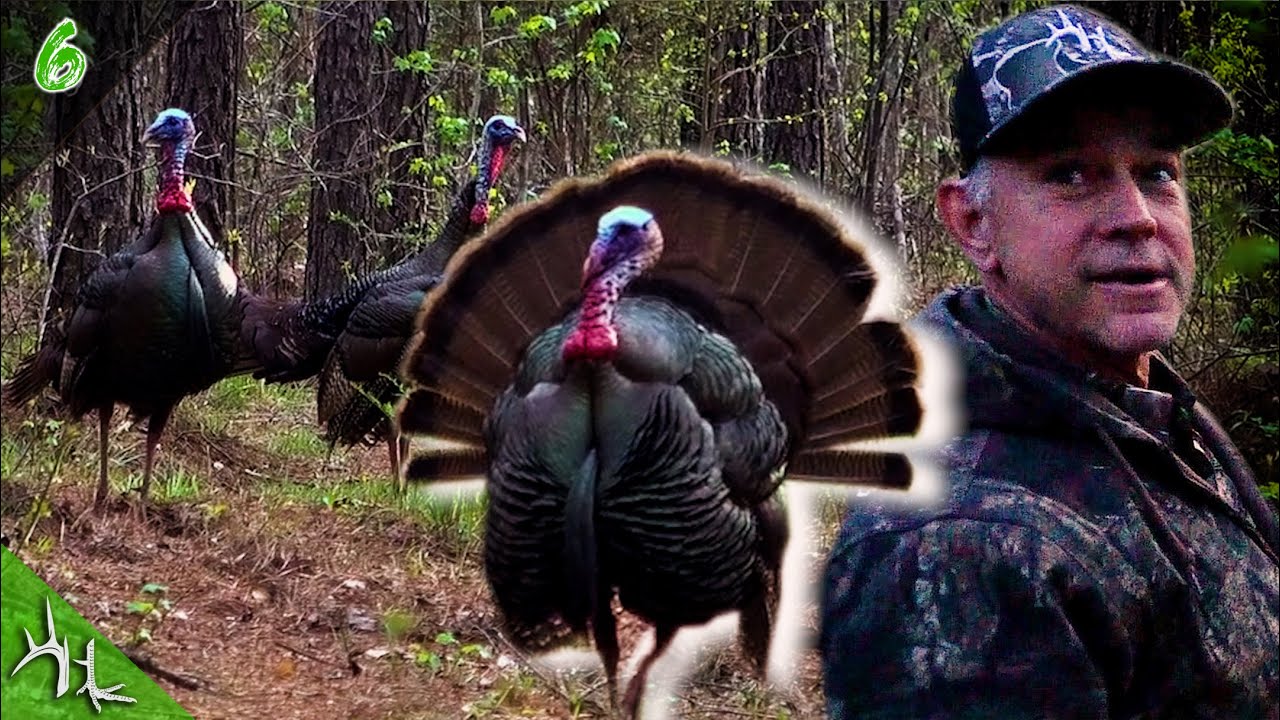 GEORGIA TURKEY HUNTING  |  SKEETER COTTON