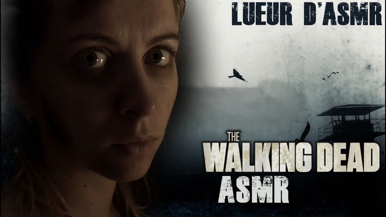 ASMR FR | ROLEPLAY | The Walking Dead  : Dans la voiture (+bruits blancs)