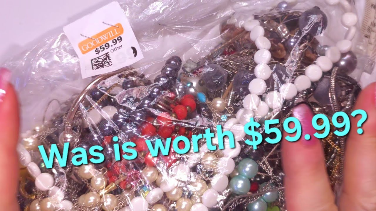 Was it worth $59.99? | Jewelry Bag from Goodwill