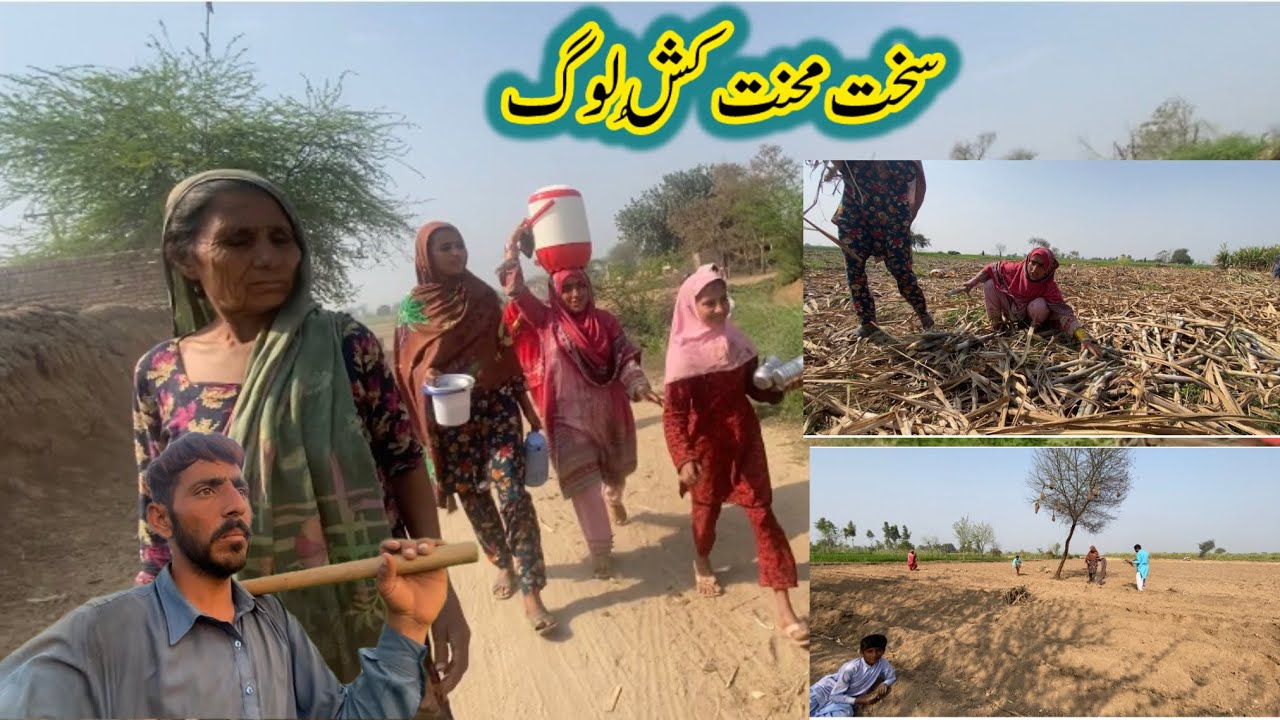 How to hard work in vilage sakht mehnat kush log | sumaira atta