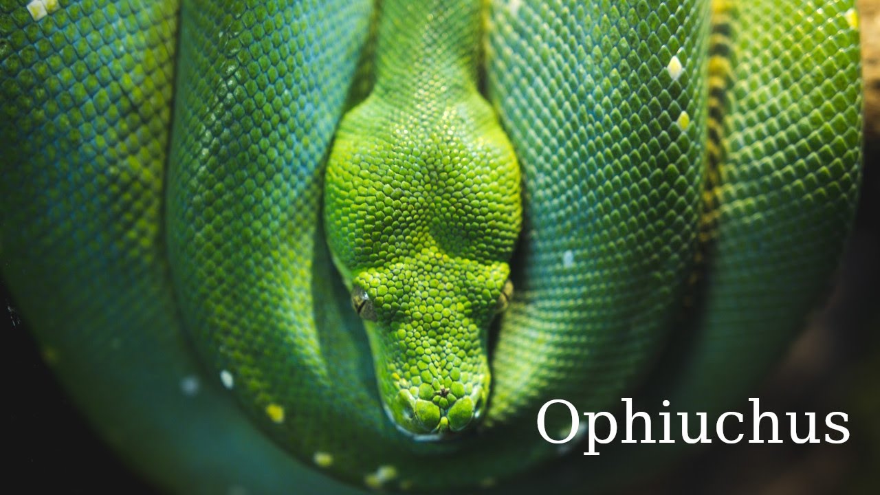 Constellation Ophiuchus part 1 of 2