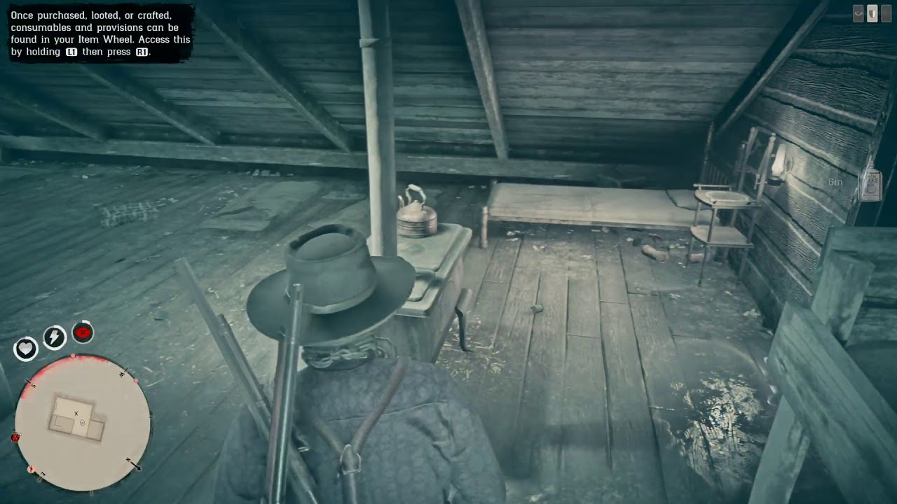 Red Dead Online: First day dual wieldin'