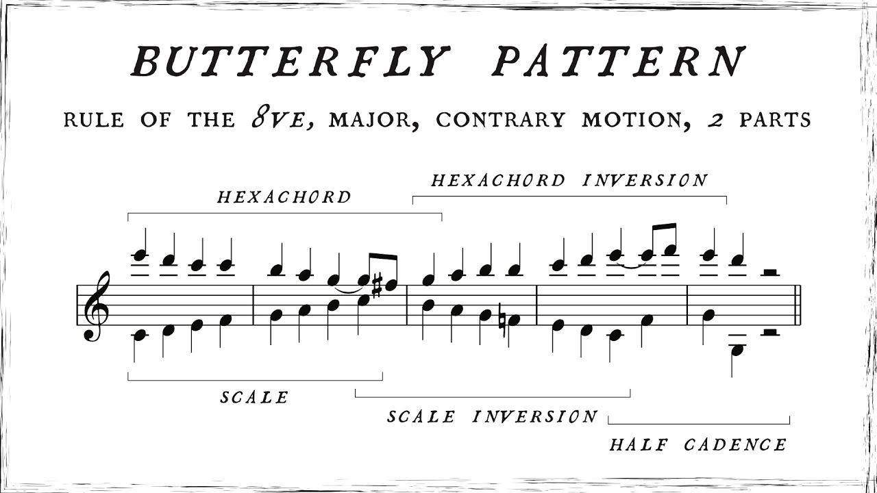 The BUTTERFLY PATTERN in 2, 3, and 4 parts (harmony and counterpoint)