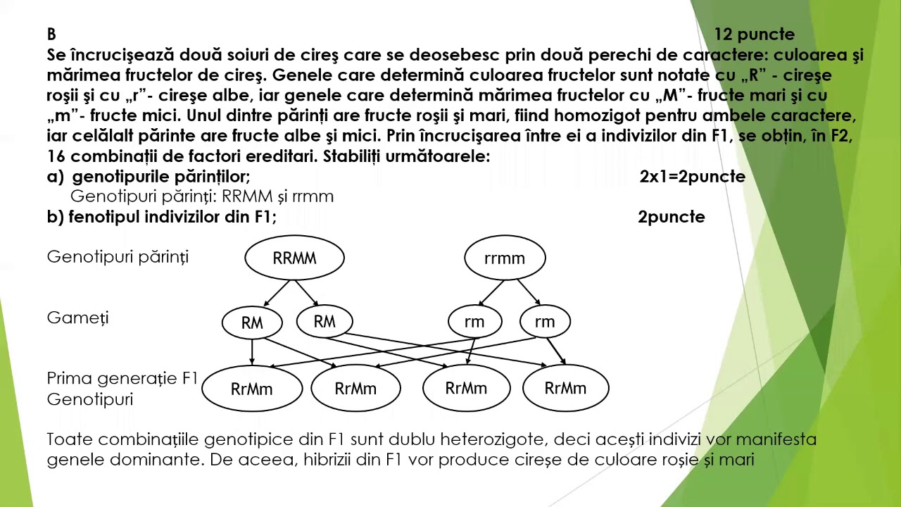 Biologie, test de antrenament pentru Bacalaureat, cls  IX-X