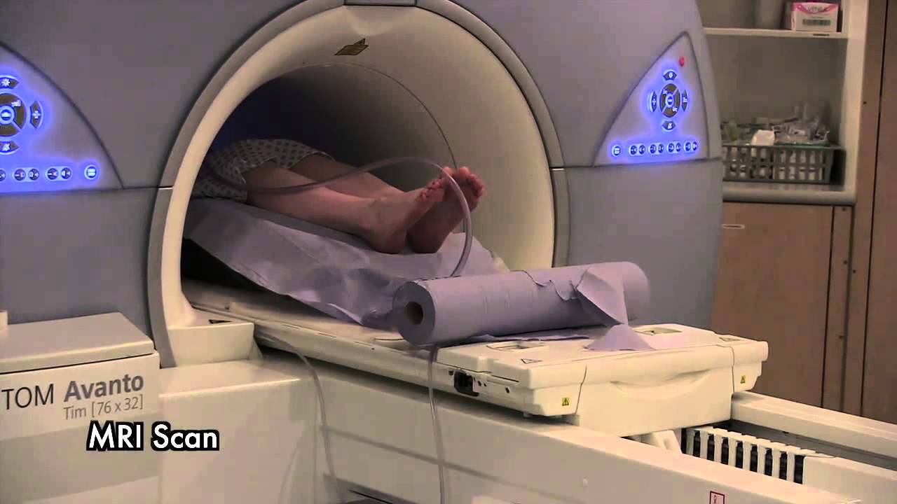 Assessment of the Kidney Transplant Recipient