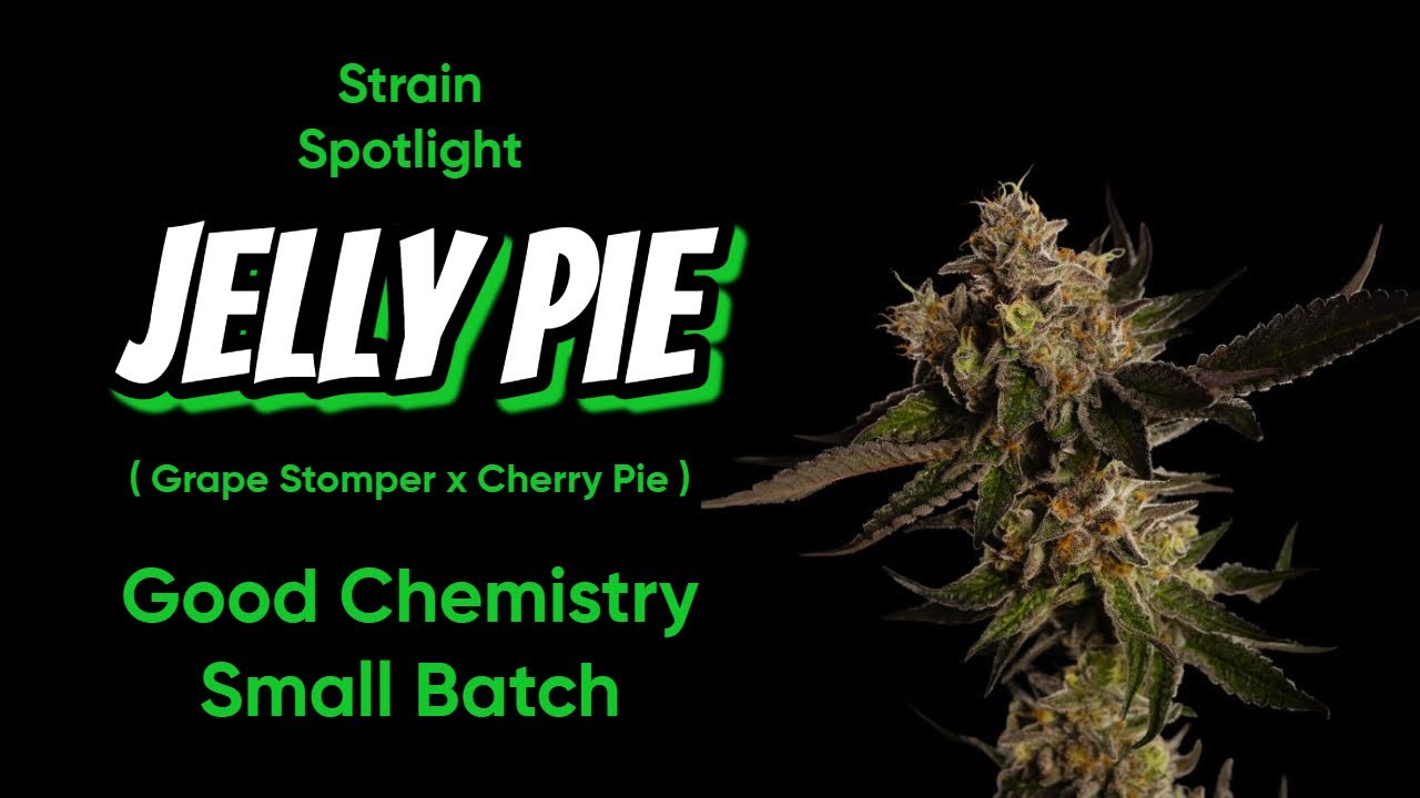 Jelly Pie - Strain Spotlight