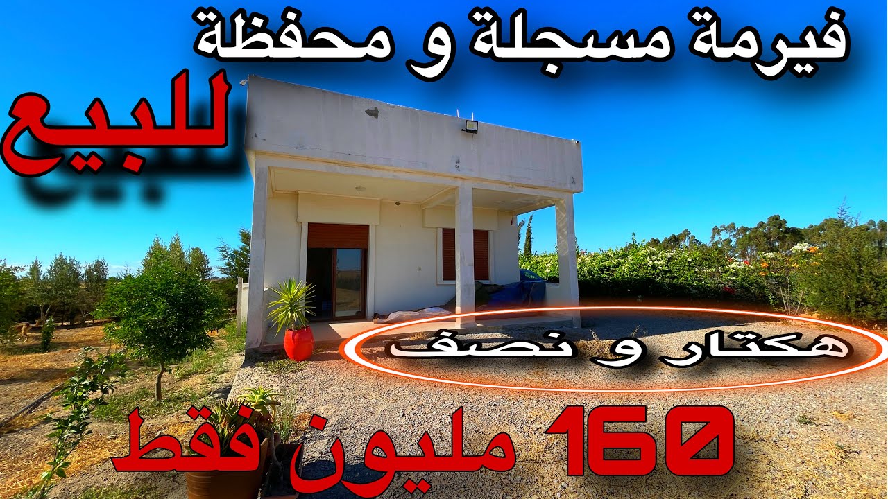 فيرمة محفظة للبيع من بنسليمان 📍هكتار ونصف 14كم على بنسليمان موقع استراتيجي والثمن جد مناسب ‼️الجديد✨