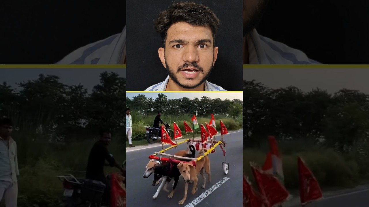 3 Dogs Join Their Owner on a 90 KM Kanwar Yatra! 🐶🙏❤️