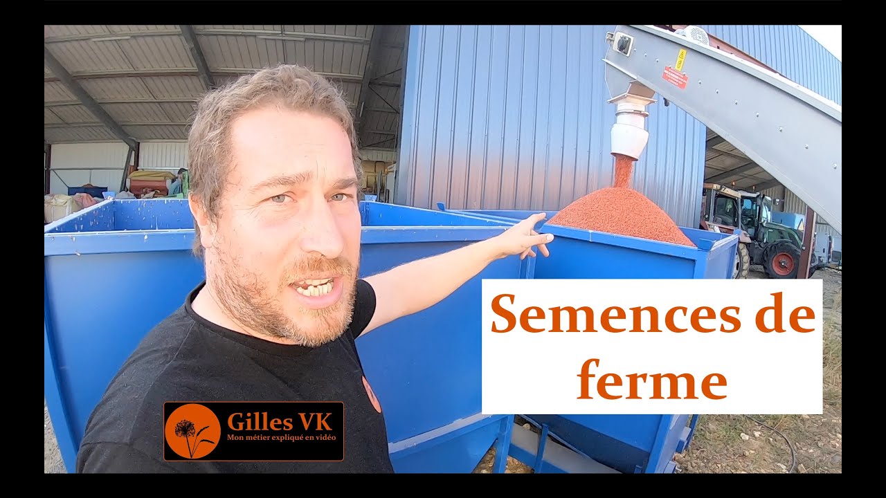 Je fais mes propres semences de blé à la ferme et c'est légal !!!
