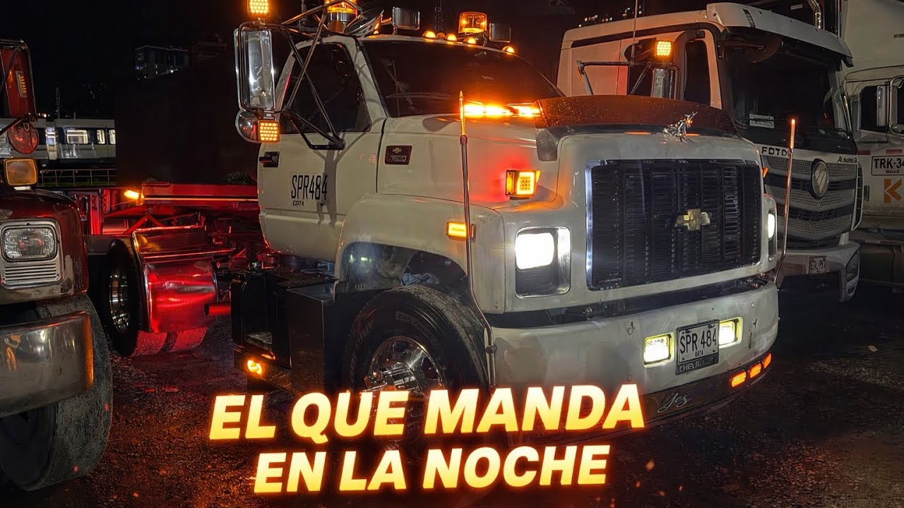 EL OSO KODIAK ESTÁ CASI LISTO PARA LA PISTA! 