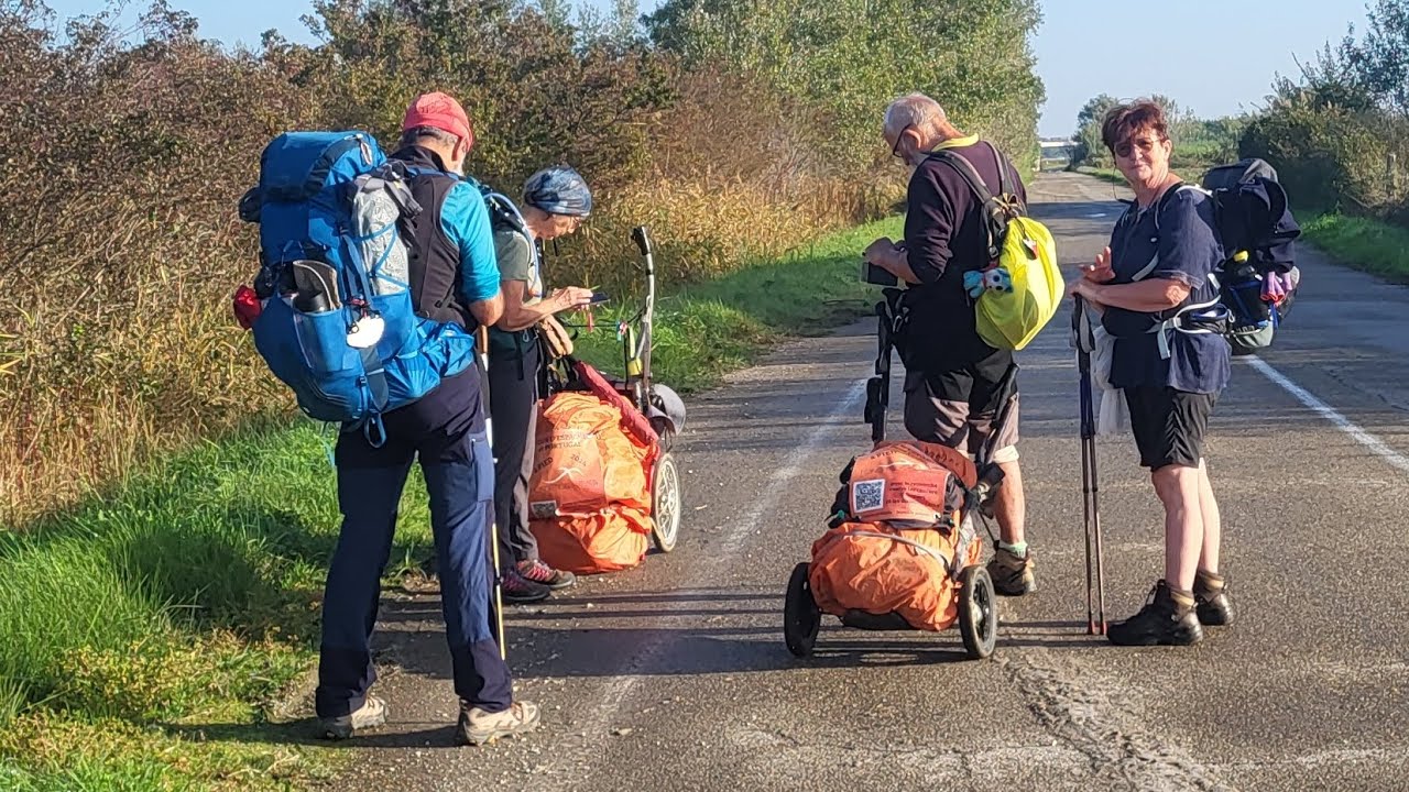 jour - 210 de Saint Gilles à Arles  - 24 kms