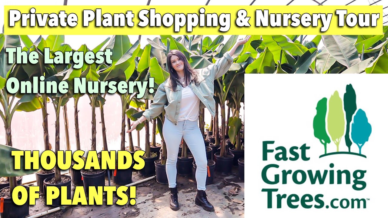Private Plant Shopping & Tour At LARGEST Online Nursery - FastGrowingTrees.com - Plant Haul Unboxing