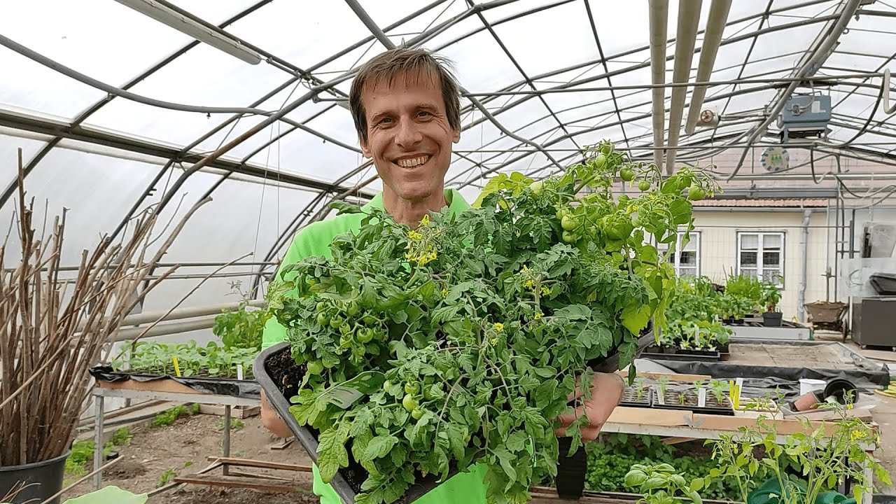 Die richtigen Gemüse & Kräuter für Balkon & Terrasse 🍅🍆🌽 Welche Sorten und Arten eignen sich?