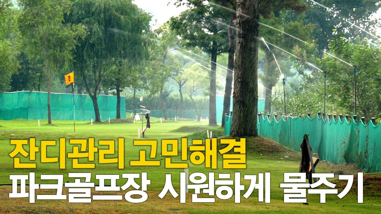 파크골프 잔디를 더 건강하게 관리하는 방법