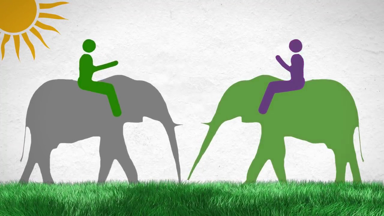 Elephant and Rider
