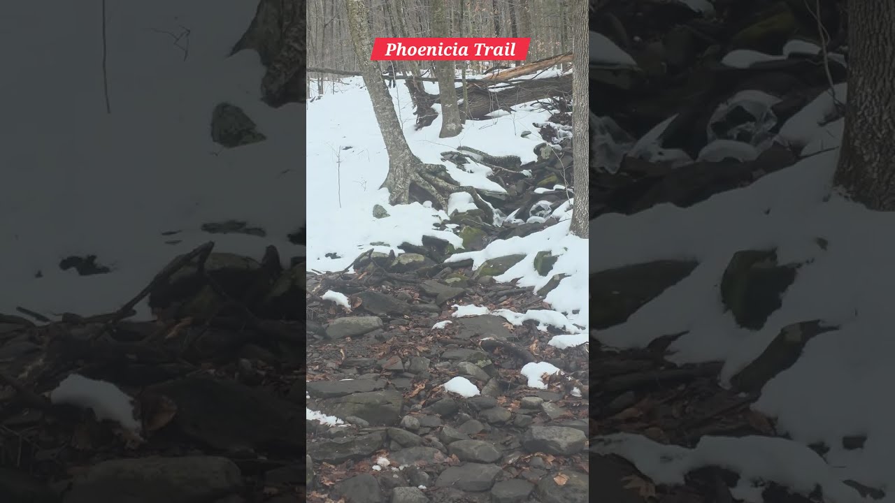Trail toward Tremper Mountain in Catskills NY 