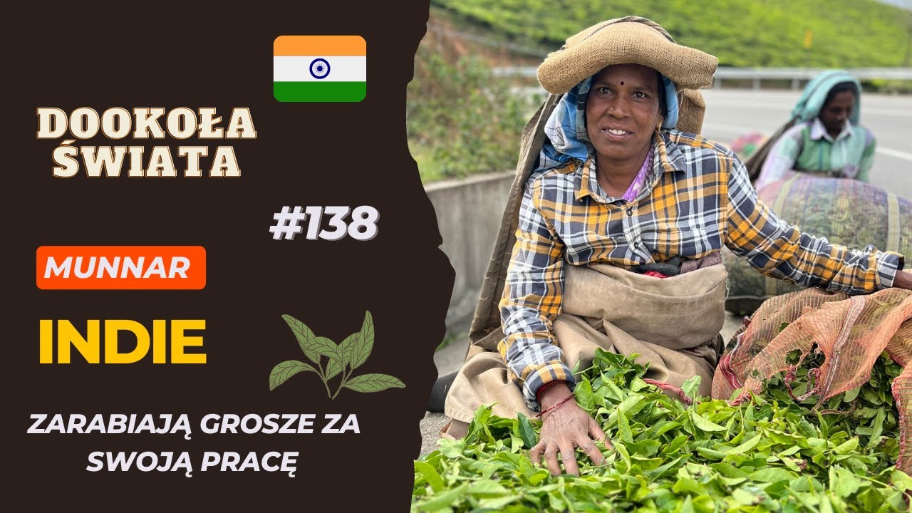 #138 | Zarabiają 23 zł za 8h pracy | Po tym filmie zmienisz zdanie o Indiach | Munnar, INDIE🇮🇳