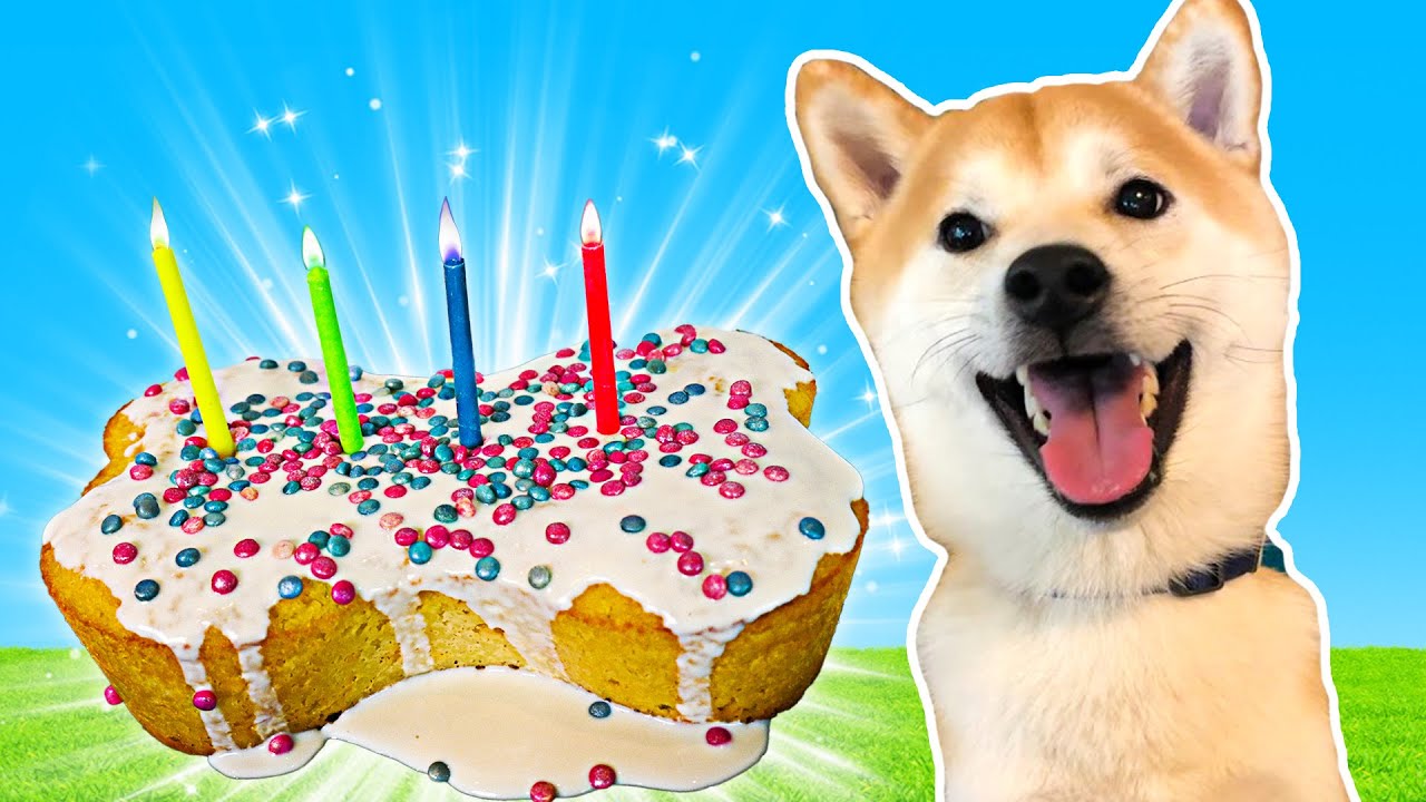 IT'S DOGE'S BIRTHDAY! (Baking a Puppy Cake)