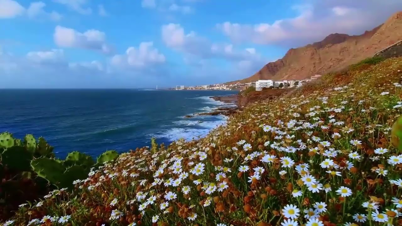 Nature Meditation Space | Calm Ambient Music for Mindfulness & Inner Peace  44OHZ OVER 3 HOURS