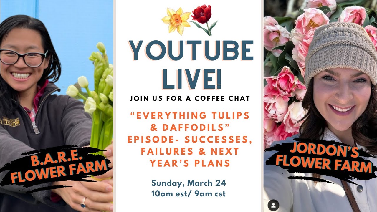 Everything Tulips & Daffodils Episodes: Successes, Failures & Plans for 2025