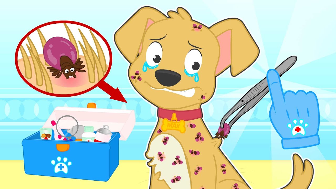 BABY PETS 🐶🪳 Como curar um c&atilde;o com carrapatos
