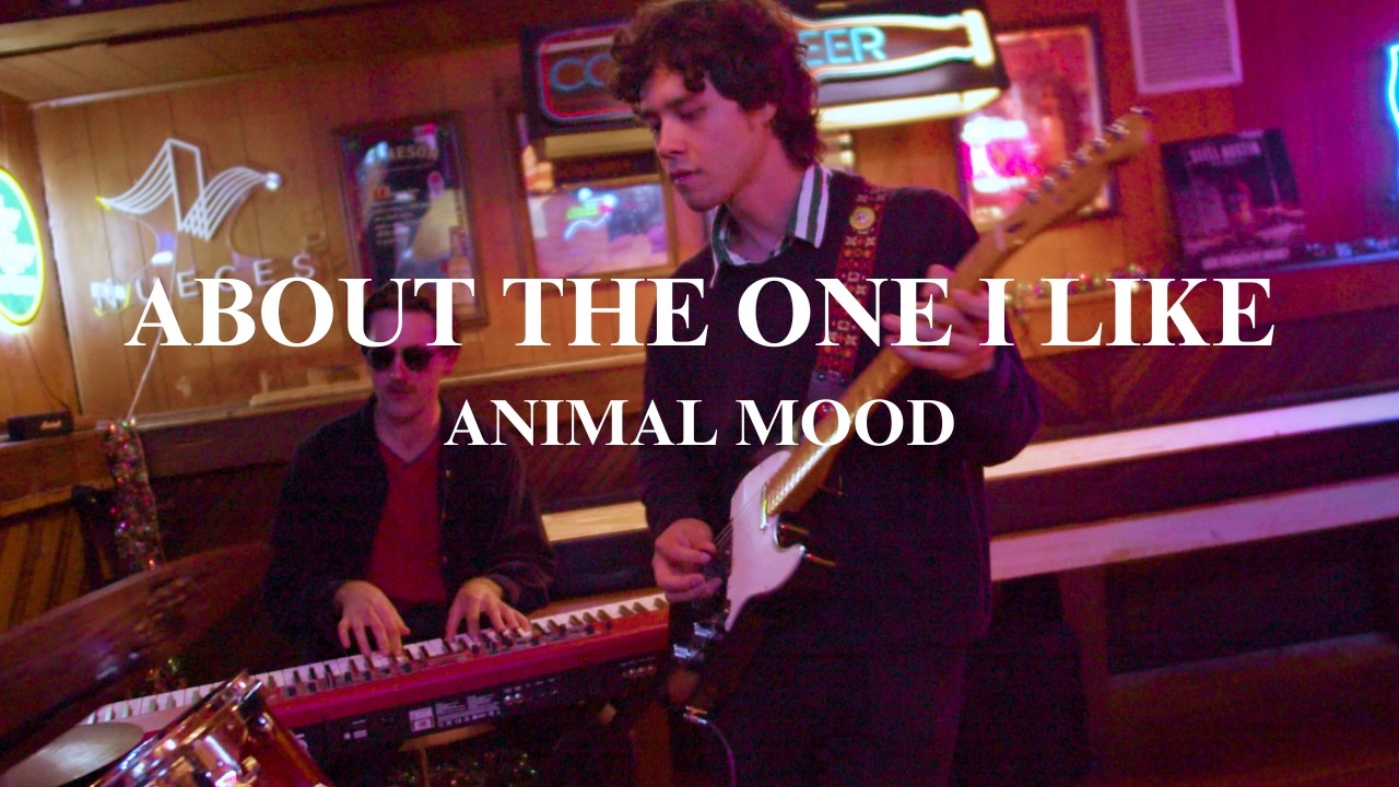 About The One I Like - Animal Mood (Official Video)