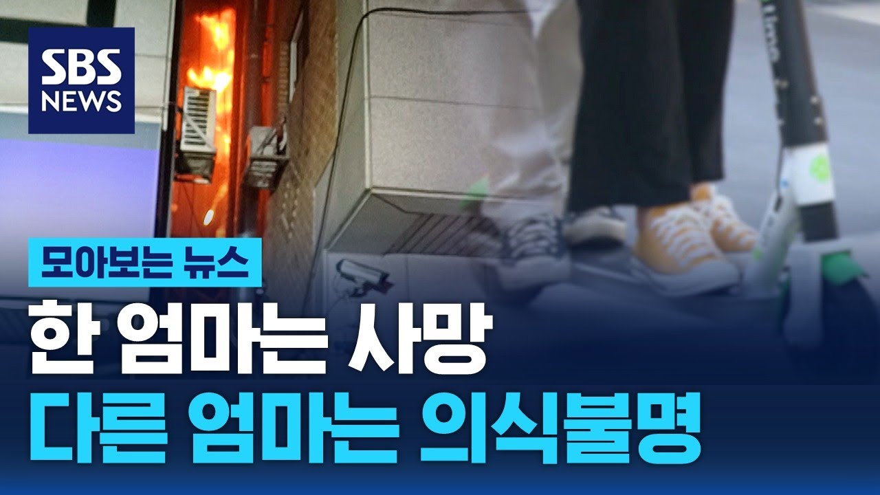 나만 생각한 '무개념 짓'…어린 아이 두고 한 엄마는 사망, 다른 엄마는 의식불명 / SBS / 모아보는 뉴스