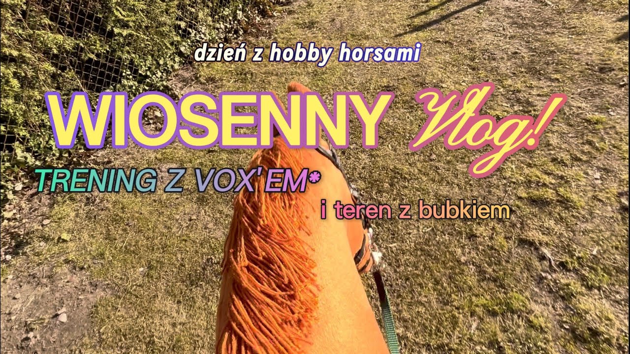 VLOG WIOSENNY trenujemy z Vox'em i idziemy w teren