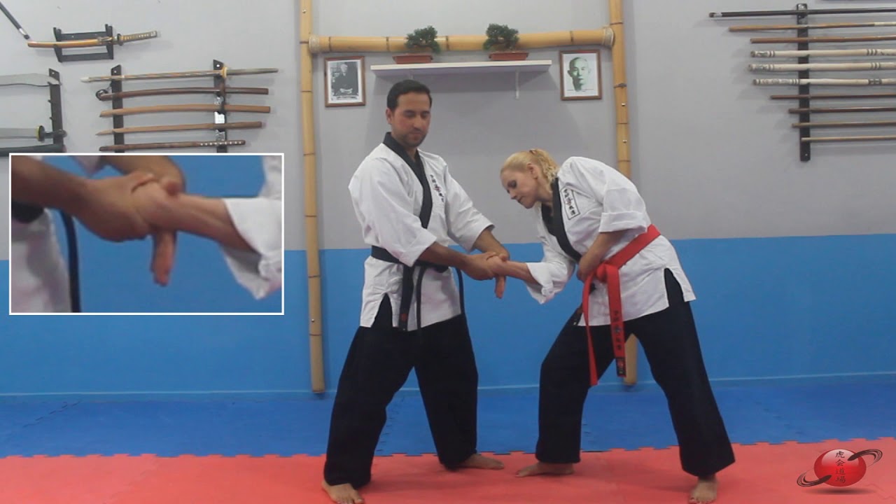 Hapkido - 5 técnicas de torção Faixa Amarela - Parte 1