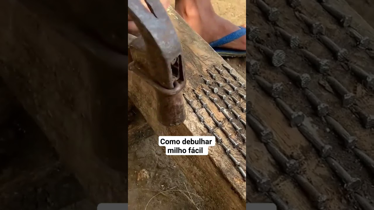 Como debulhar milho f&aacute;cil