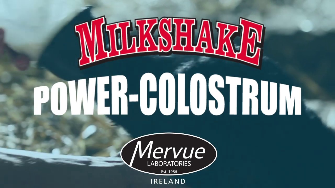 Milkshake Power Colostrum