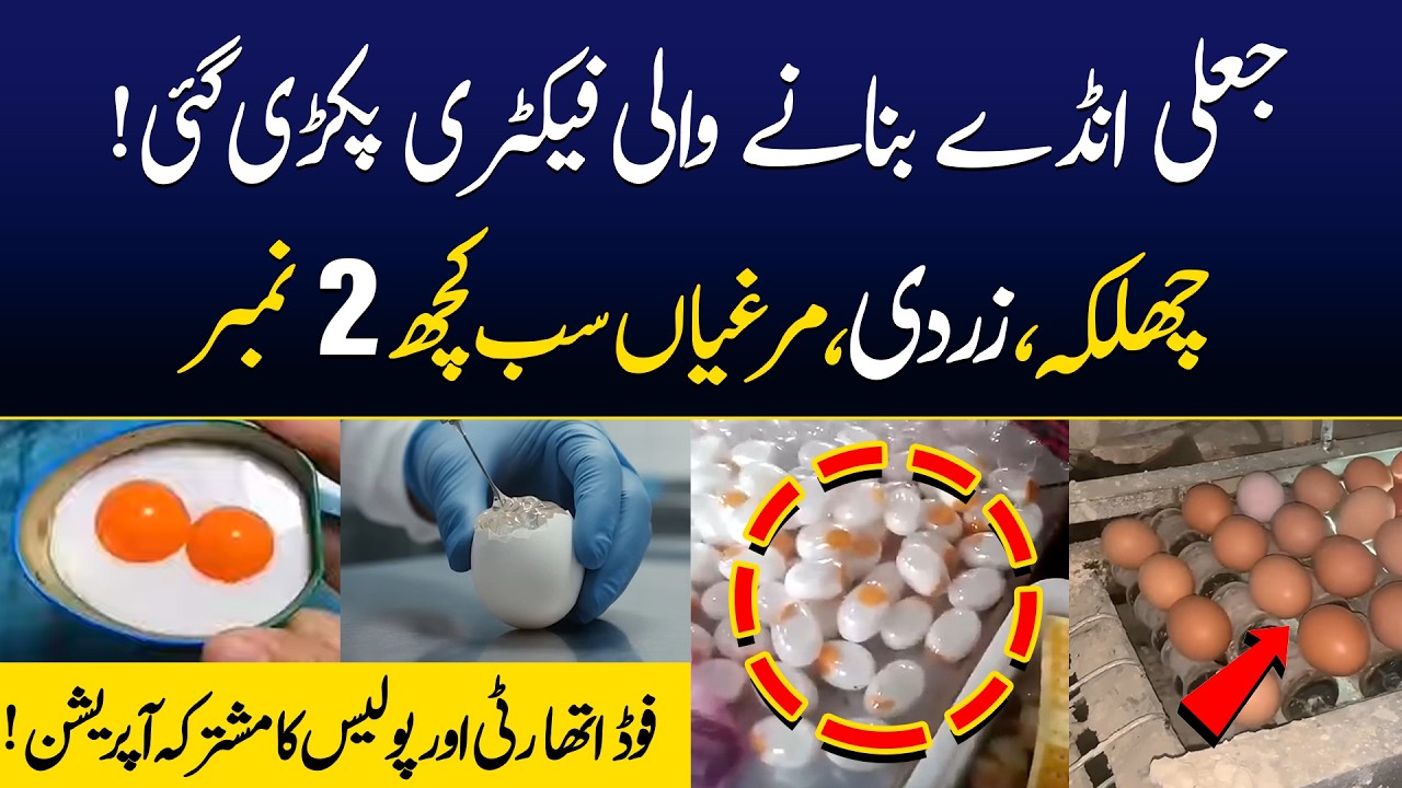Fake Eggs Factory Exposed: Jaali Anday Banane Wali Factory Pakri Gayi | Food Authority Ka Operation