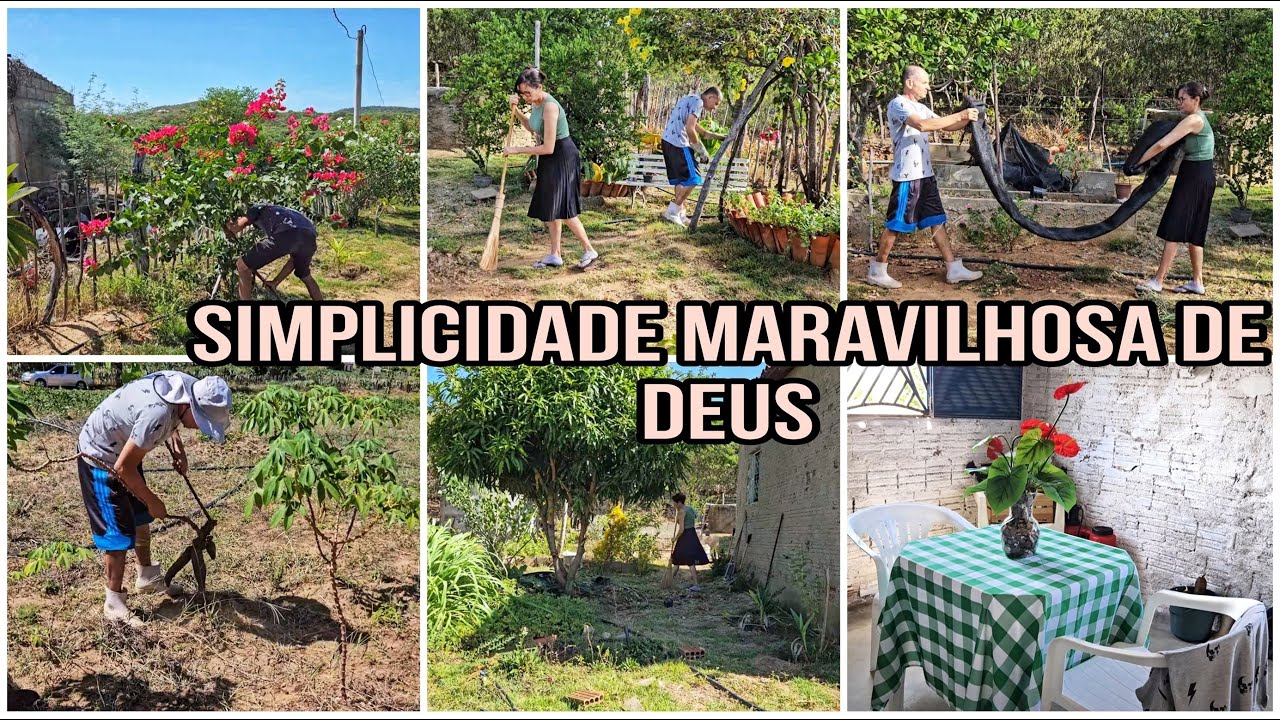 FIZEMOS UMA LIMPA NO SÍTIO , AGORA SIM ESTÁ PEGANDO FORMA