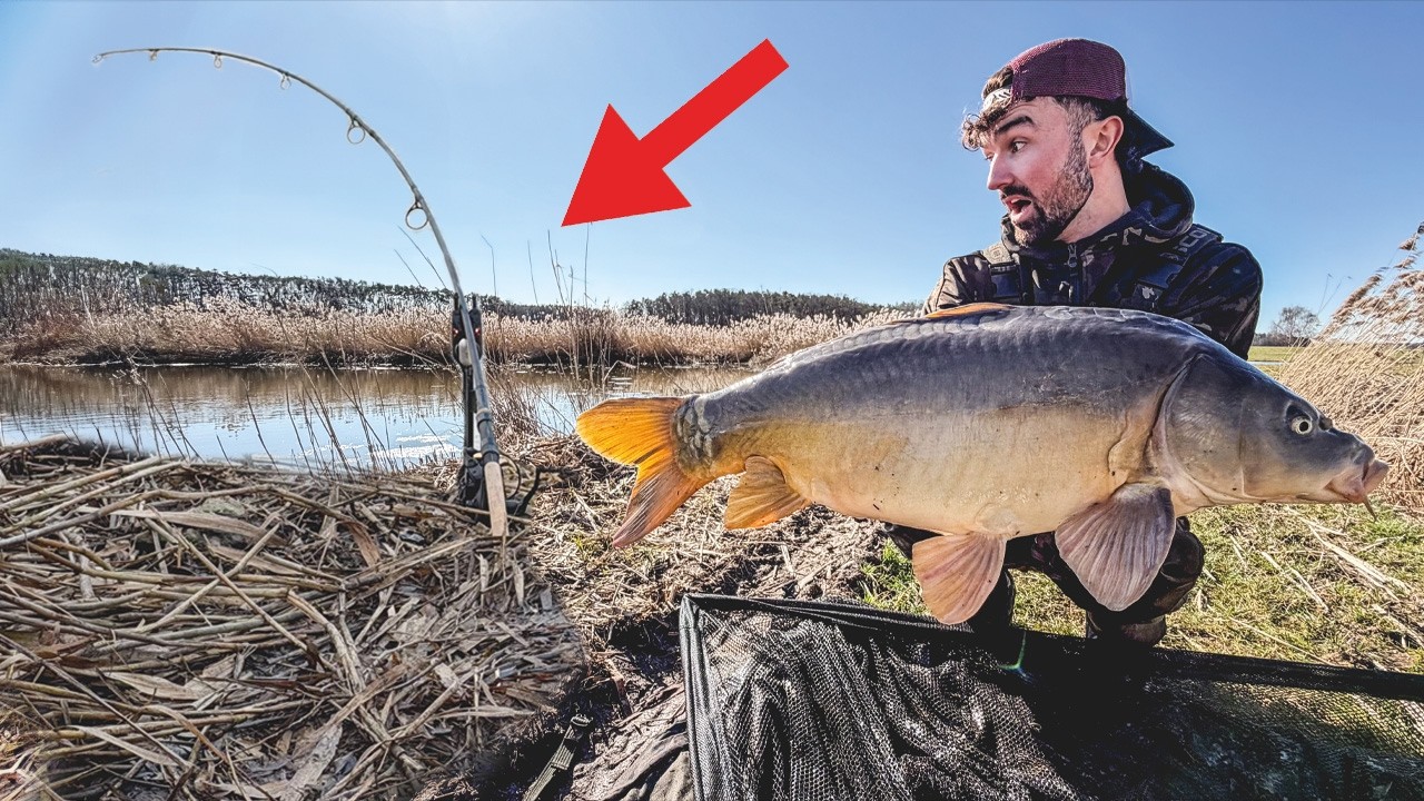 Karpfenangeln im Frühjahr - So fängst du mehr Fische!