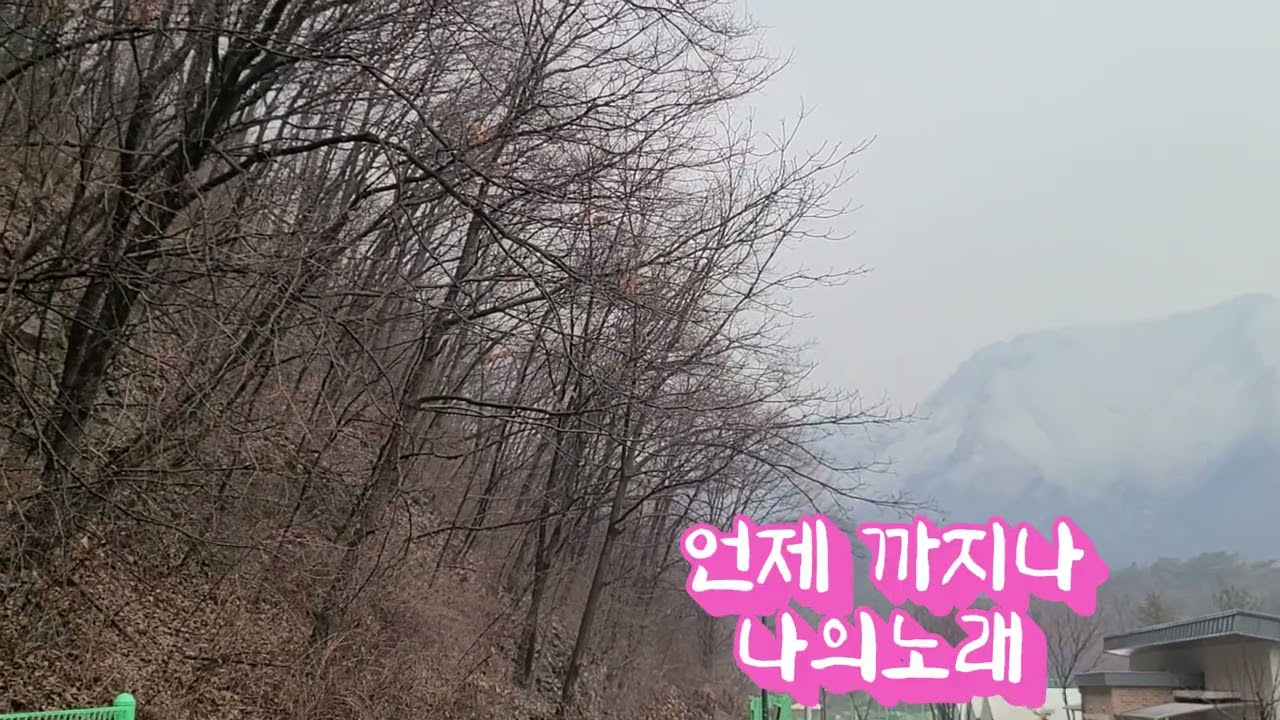 노래는나의인생 이미자. 테너색소폰, 초보연주