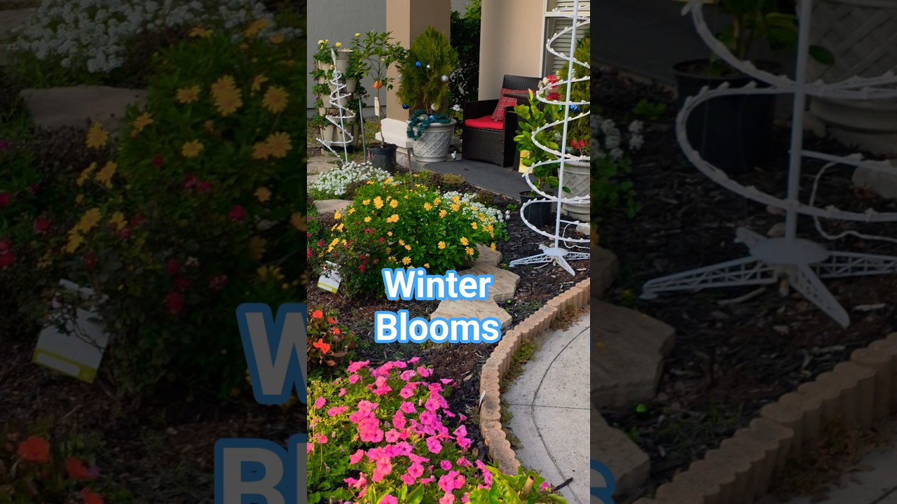 Plants that survived the winter - Zone 9 Florida 