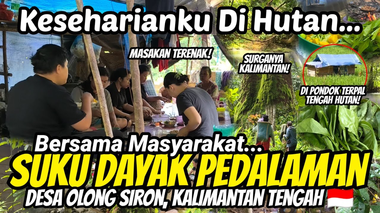KESEHARIANKU BERSAMA MASYARAKAT SUKU DAYAK PEDALAMAN: PANEN SAYUR, MASAK DI PONDOK & MAKAN BERSAMA