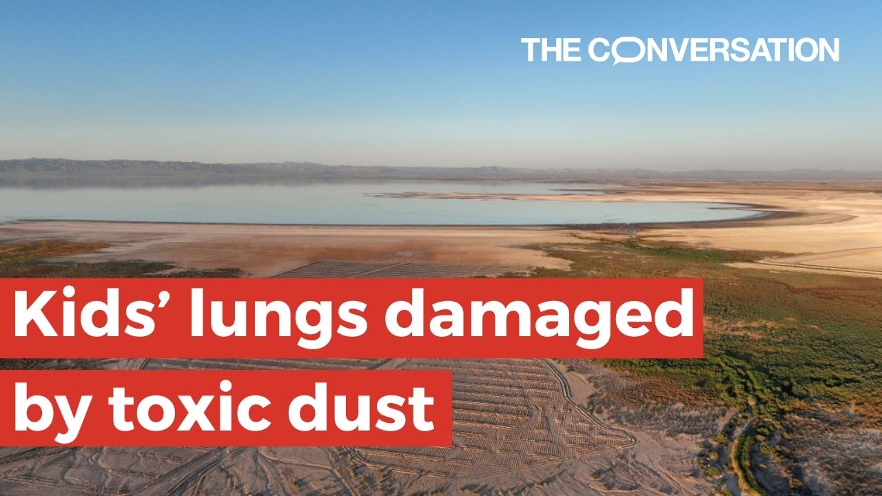 Kids' lungs damaged by toxic dust