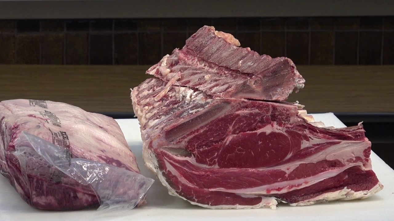 What is prime rib and where does it come from?