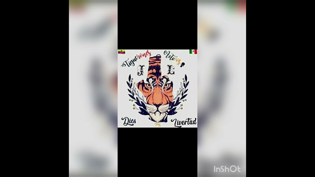 Dizzi Diablo y Lala 06🐯👹