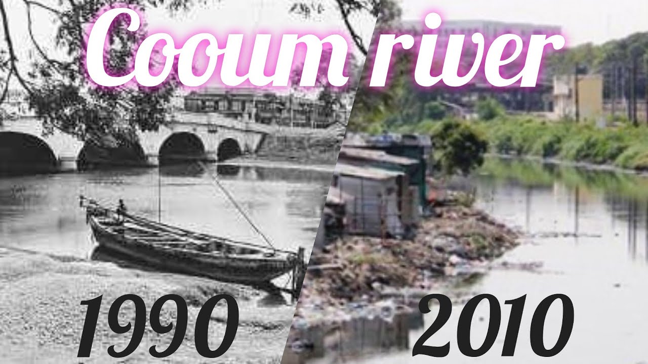 Cooum river (EVS PROJECT)