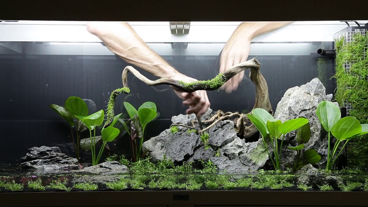Layout 62 (240L) by Tropica