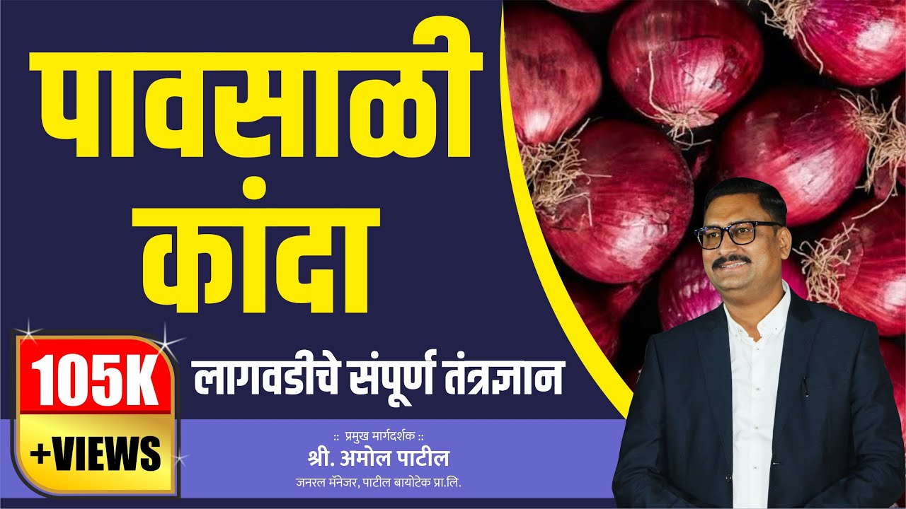 पावसाळी कांदा लागवडीचे संपूर्ण तंत्रज्ञान #patilbiotech