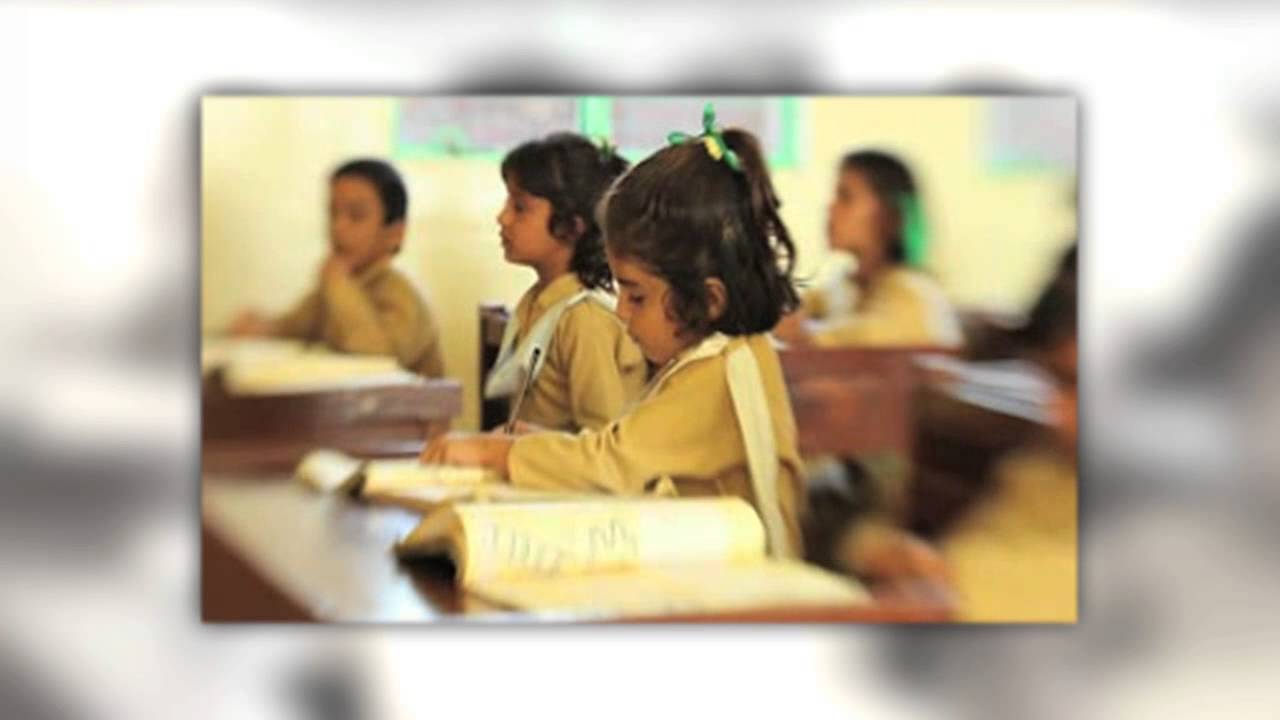 The Citizens Foundation - Overview