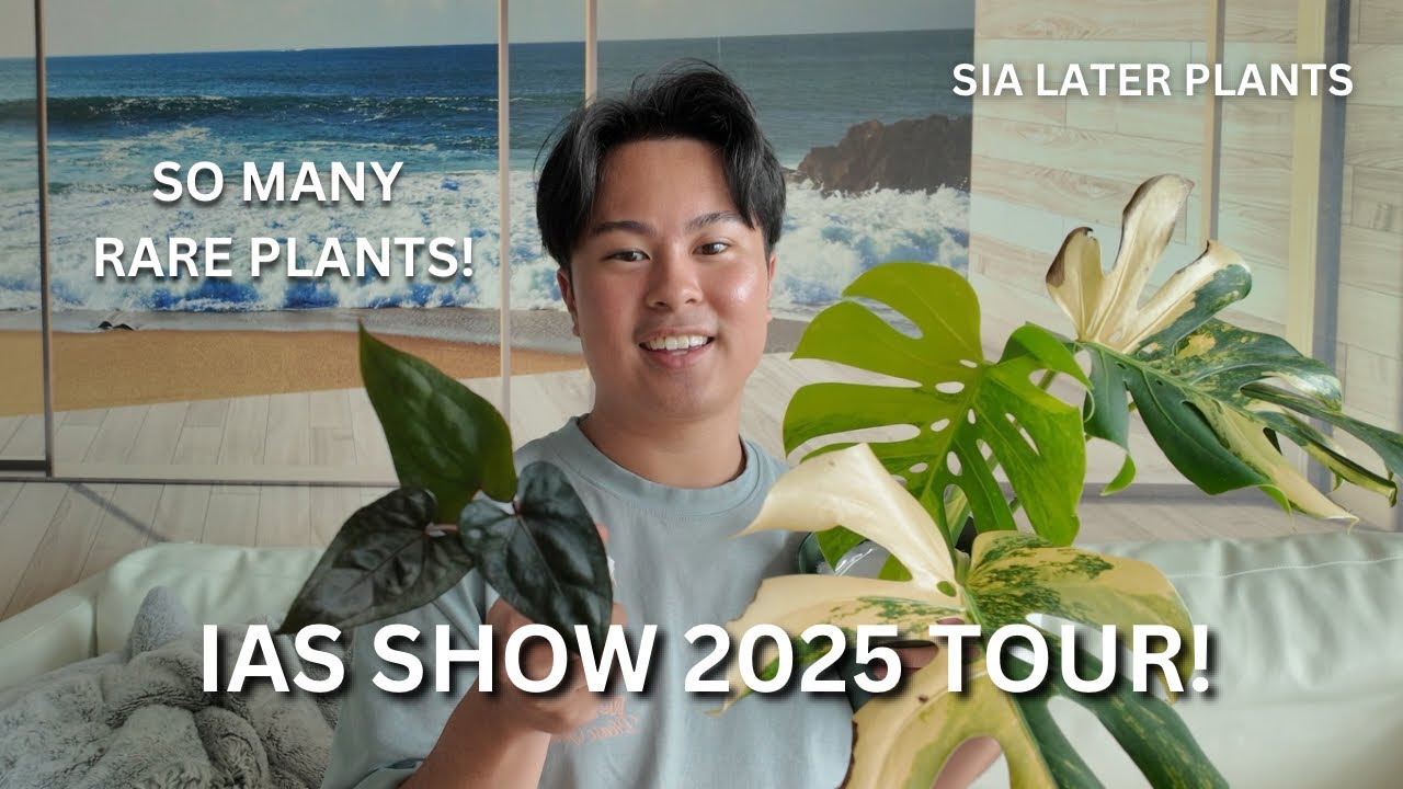 Выставочный тур IAS Tropical Plant Expo 2025 | Выставка и продажа редких пестрых растений | Прихо...