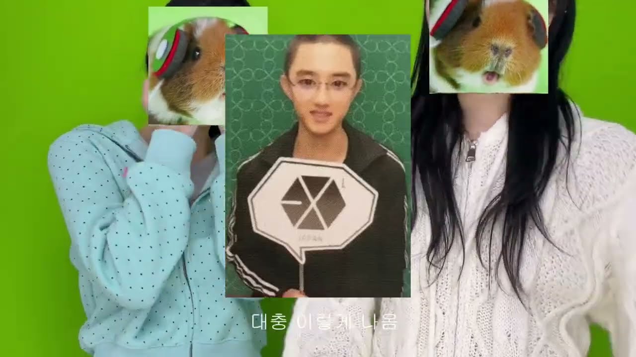 #1 귀여운 걸 좋아하는 사람은 일본에서 살아야겠지 | 🇯🇵 도쿄워킹홀리데이