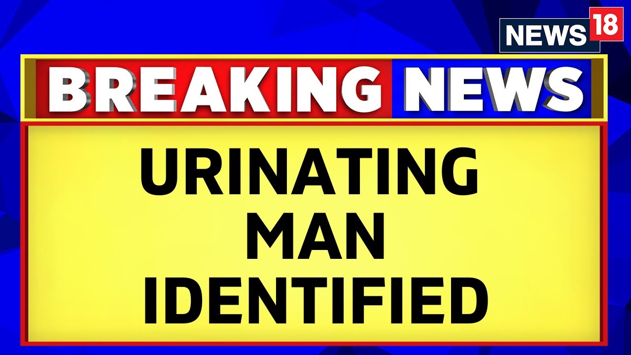 Air India Horror | Passenger Who Urinated Identified | Mid-Air Peeing Incident | English News