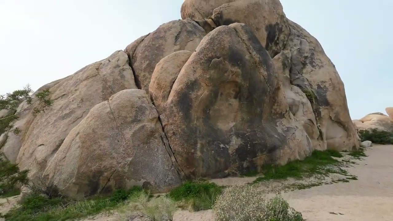 Joshua Tree National Park #joshuatreenationalpark #rvlife #california 