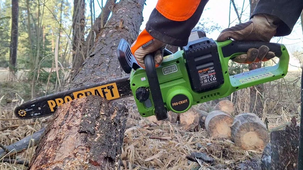 Complete tree cutting with a PROCRAFT PCA42/2 cordless chainsaw LOAD TEST #chainsaw